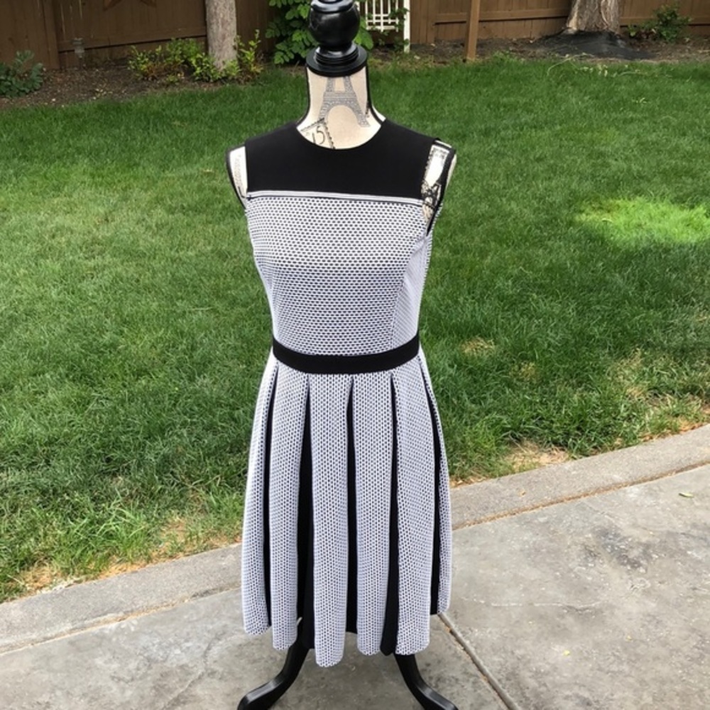 Taylor Checked and Pleated Sleeveless Dress -6